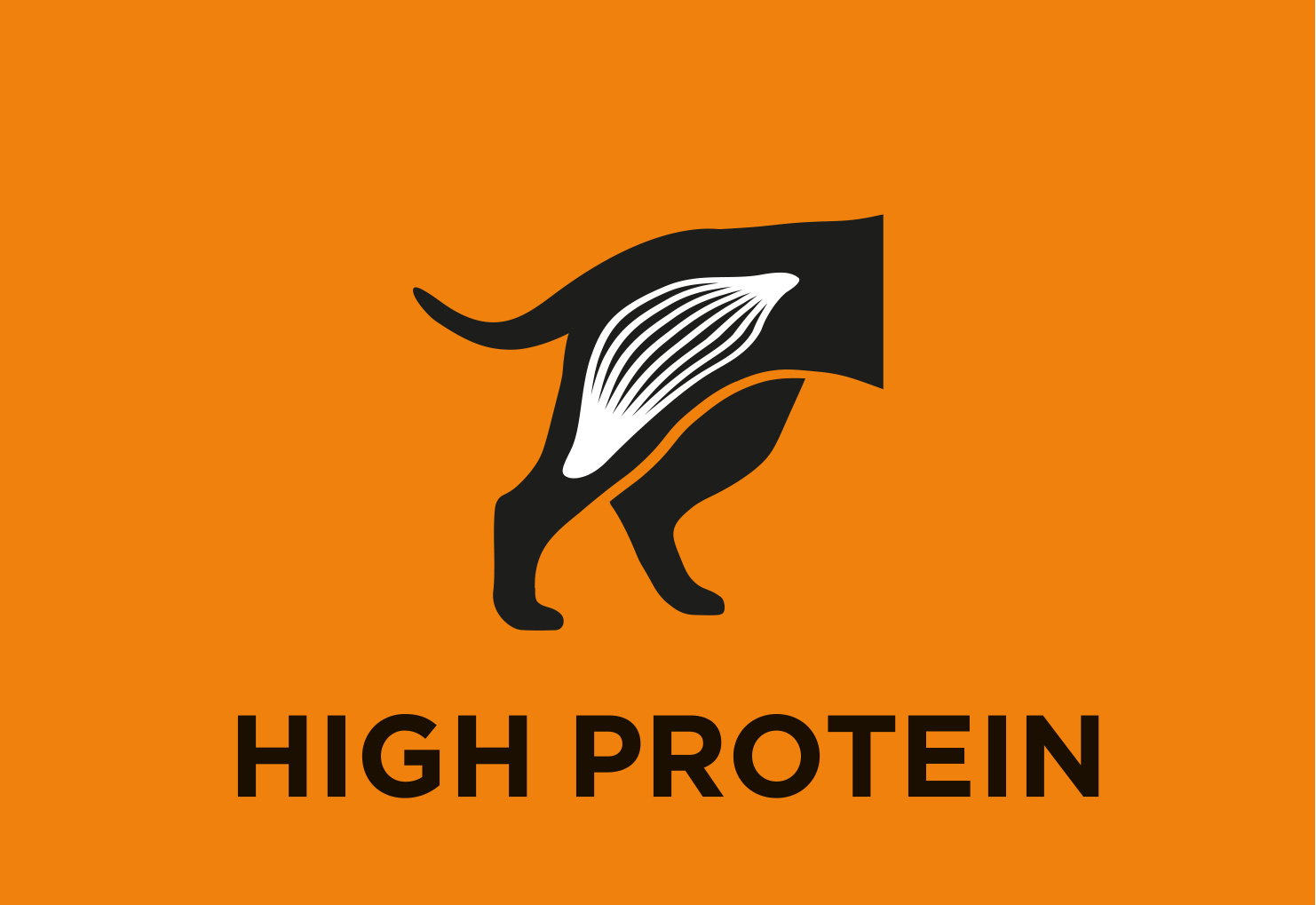 High protein level