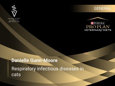 Danielle Gunn-Moore: Respiratory infectious diseases in cats